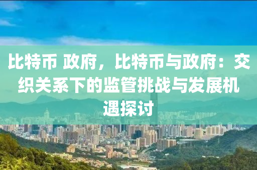 比特币 政府，比特币与政府：交织关系下的监管挑战与发展机遇探讨