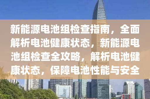 新能源电池组检查指南，全面解析电池健康状态，新能源电池组检查全攻略，解析电池健康状态，保障电池性能与安全