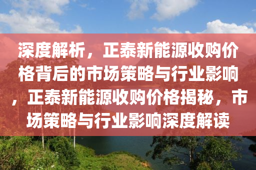 深度解析，正泰新能源收购价格背后的市场策略与行业影响，正泰新能源收购价格揭秘，市场策略与行业影响深度解读