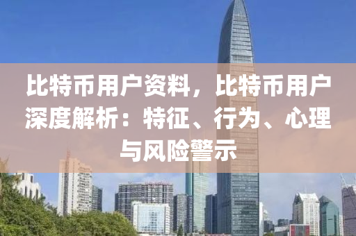 比特币用户资料，比特币用户深度解析：特征、行为、心理与风险警示