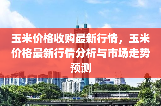 玉米价格收购最新行情，玉米价格最新行情分析与市场走势预测