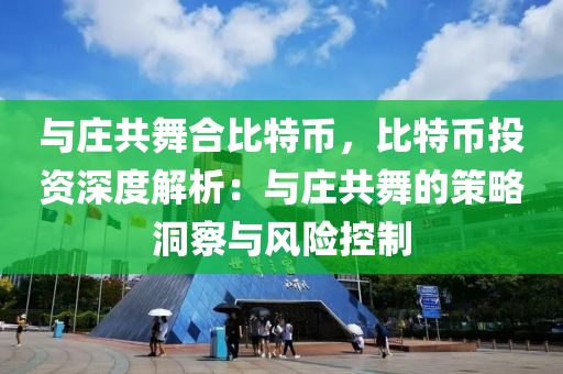 与庄共舞合比特币，比特币投资深度解析：与庄共舞的策略洞察与风险控制