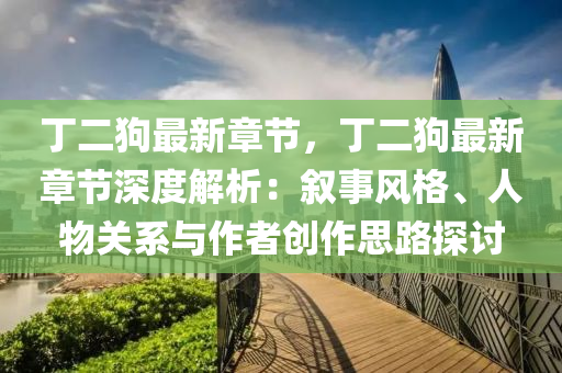 丁二狗最新章节，丁二狗最新章节深度解析：叙事风格、人物关系与作者创作思路探讨