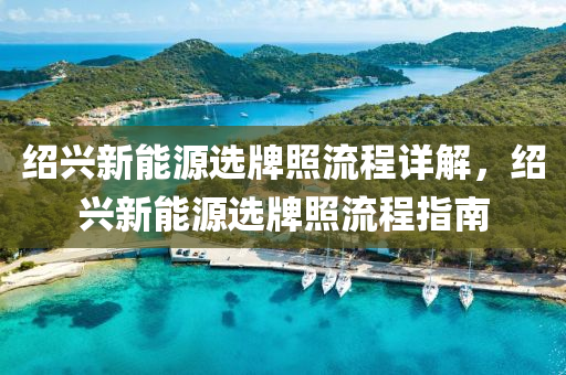 绍兴新能源选牌照流程详解，绍兴新能源选牌照流程指南