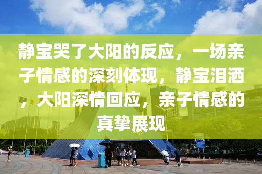 静宝哭了大阳的反应，一场亲子情感的深刻体现，静宝泪洒，大阳深情回应，亲子情感的真挚展现