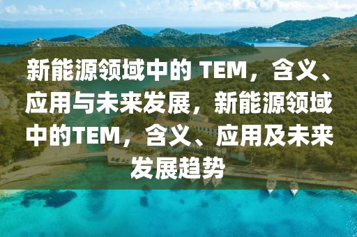 新能源领域中的 TEM，含义、应用与未来发展，新能源领域中的TEM，含义、应用及未来发展趋势