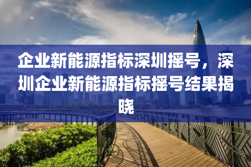 企业新能源指标深圳摇号，深圳企业新能源指标摇号结果揭晓