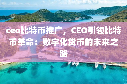 ceo比特币推广，CEO引领比特币革命：数字化货币的未来之路