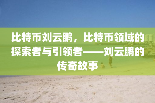 比特币刘云鹏，比特币领域的探索者与引领者——刘云鹏的传奇故事