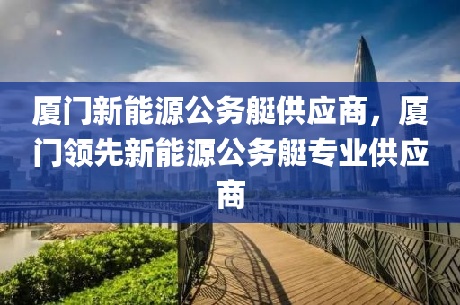 厦门新能源公务艇供应商，厦门领先新能源公务艇专业供应商