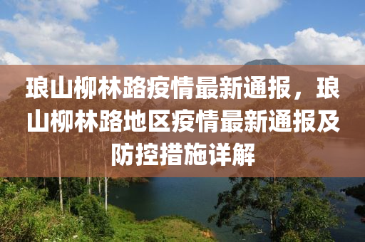 琅山柳林路疫情最新通报，琅山柳林路地区疫情最新通报及防控措施详解