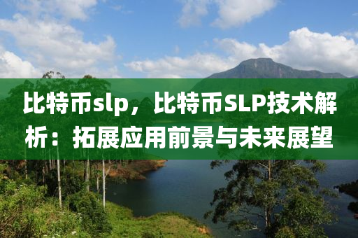 比特币slp，比特币SLP技术解析：拓展应用前景与未来展望