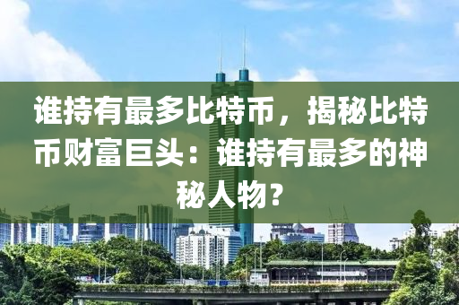 谁持有最多比特币，揭秘比特币财富巨头：谁持有最多的神秘人物？