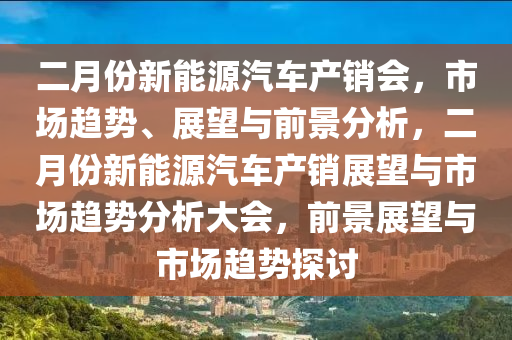 二月份新能源汽车产销会，市场趋势、展望与前景分析，二月份新能源汽车产销展望与市场趋势分析大会，前景展望与市场趋势探讨