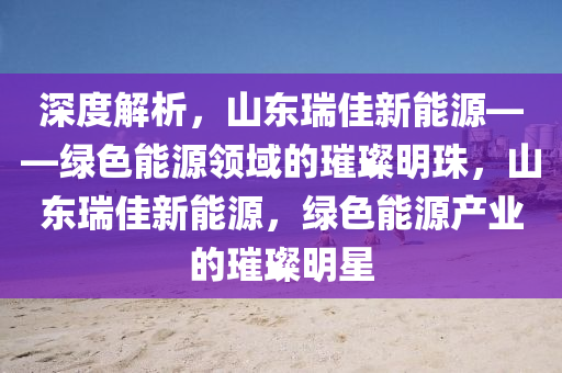 深度解析，山东瑞佳新能源——绿色能源领域的璀璨明珠，山东瑞佳新能源，绿色能源产业的璀璨明星