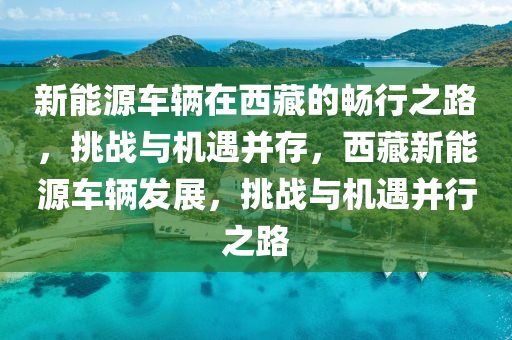 新能源车辆在西藏的畅行之路，挑战与机遇并存，西藏新能源车辆发展，挑战与机遇并行之路