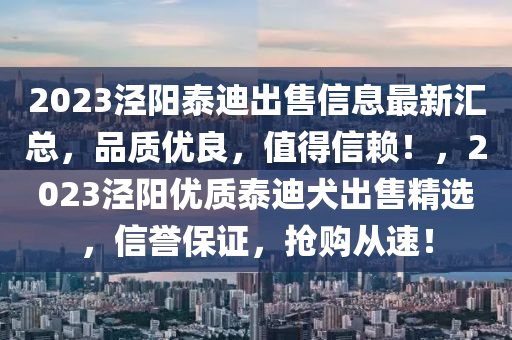 2023泾阳泰迪出售信息最新汇总，品质优良，值得信赖！，2023泾阳优质泰迪犬出售精选，信誉保证，抢购从速！