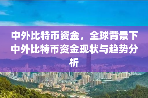 中外比特币资金，全球背景下中外比特币资金现状与趋势分析