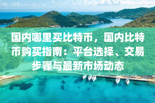 国内哪里买比特币，国内比特币购买指南：平台选择、交易步骤与最新市场动态