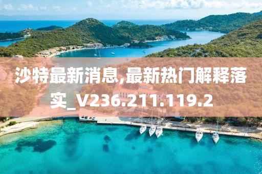 沙特最新消息,最新热门解释落实_V236.211.119.2