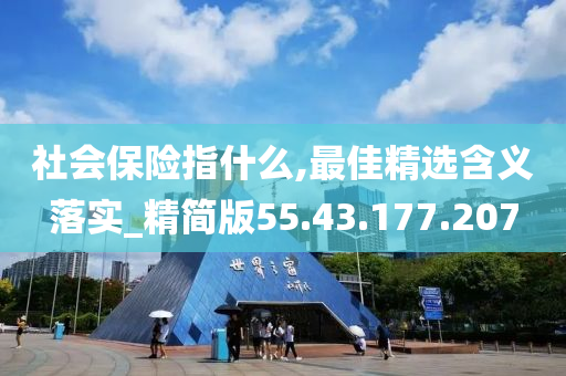 社会保险指什么,最佳精选含义落实_精简版55.43.177.207