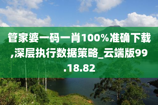 管家婆一码一肖100%准确下载,深层执行数据策略_云端版99.18.82