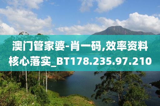 澳门管家婆-肖一码,效率资料核心落实_BT178.235.97.210