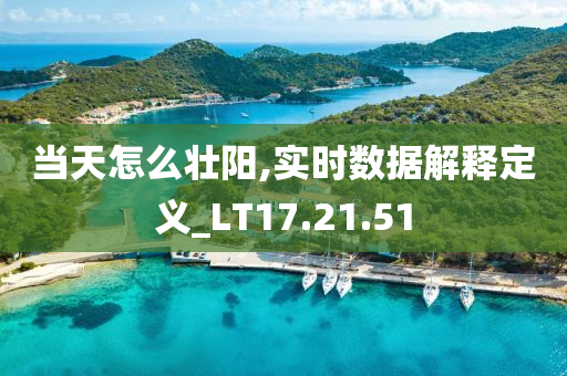 当天怎么壮阳,实时数据解释定义_LT17.21.51