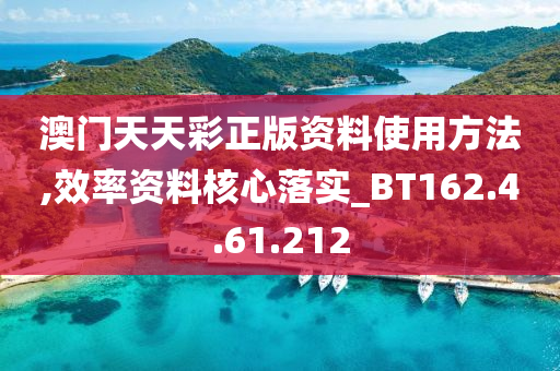 澳门天天彩正版资料使用方法,效率资料核心落实_BT162.4.61.212