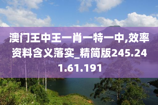 澳门王中王一肖一特一中,效率资料含义落实_精简版245.241.61.191