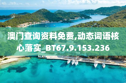 澳门查询资料免费,动态词语核心落实_BT67.9.153.236