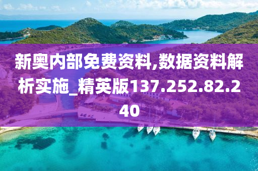 新奥内部免费资料,数据资料解析实施_精英版137.252.82.240