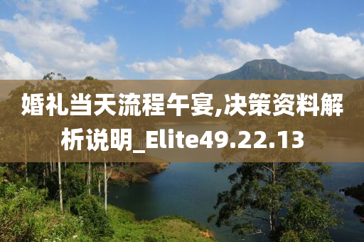 婚礼当天流程午宴,决策资料解析说明_Elite49.22.13