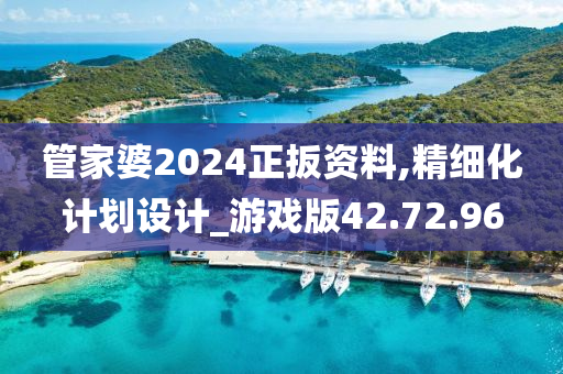 管家婆2024正扳资料,精细化计划设计_游戏版42.72.96