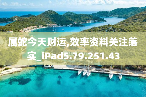 属蛇今天财运,效率资料关注落实_iPad5.79.251.43