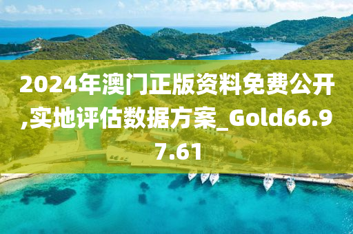 2024年澳门正版资料免费公开,实地评估数据方案_Gold66.97.61