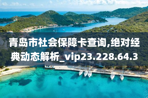 青岛市社会保障卡查询,绝对经典动态解析_vip23.228.64.30