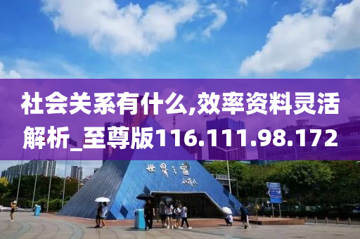 社会关系有什么,效率资料灵活解析_至尊版116.111.98.172