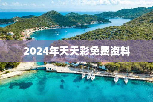 2024年天天彩免费资料