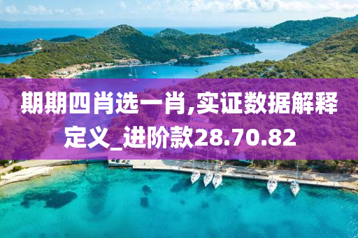 期期四肖选一肖,实证数据解释定义_进阶款28.70.82