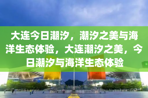 大连今日潮汐，潮汐之美与海洋生态体验，大连潮汐之美，今日潮汐与海洋生态体验