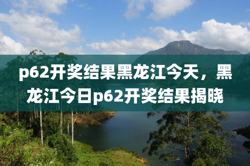 p62开奖结果黑龙江今天，黑龙江今日p62开奖结果揭晓