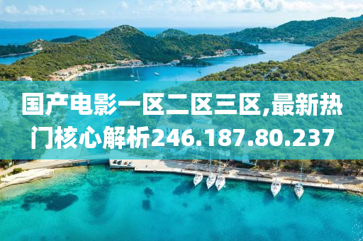 国产电影一区二区三区,最新热门核心解析246.187.80.237