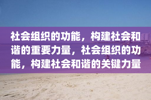 社会组织的功能，构建社会和谐的重要力量，社会组织的功能，构建社会和谐的关键力量