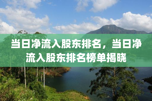 当日净流入股东排名，当日净流入股东排名榜单揭晓