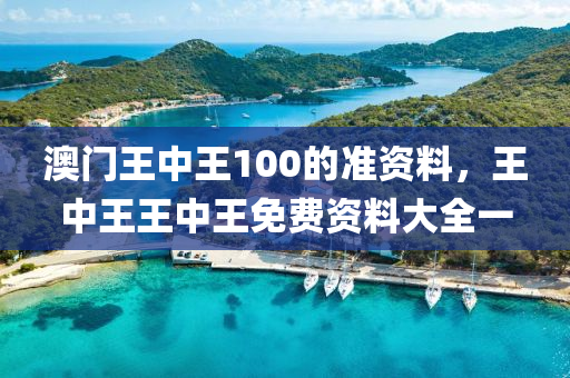 澳门王中王100的准资料，王中王王中王免费资料大全一