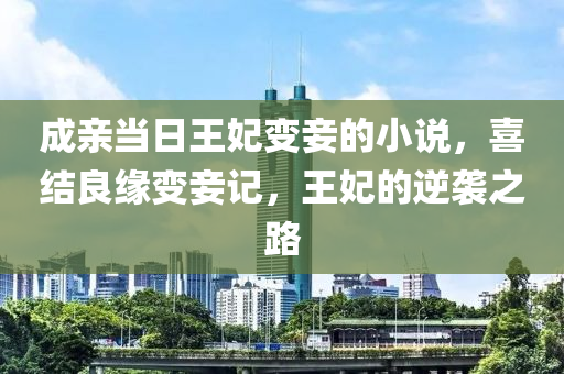 成亲当日王妃变妾的小说，喜结良缘变妾记，王妃的逆袭之路