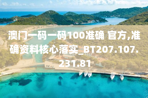 澳门一码一码100准确 官方,准确资料核心落实_BT207.107.231.81