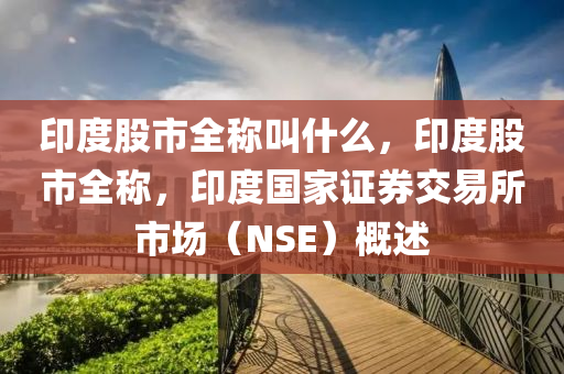 印度股市全称叫什么，印度股市全称，印度国家证券交易所市场（NSE）概述