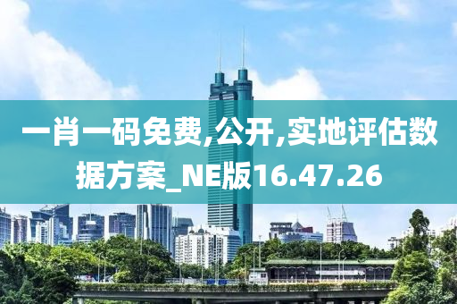 一肖一码免费,公开,实地评估数据方案_NE版16.47.26